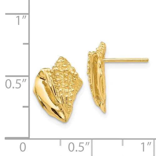 14K CONCH SHELL EARRINGS