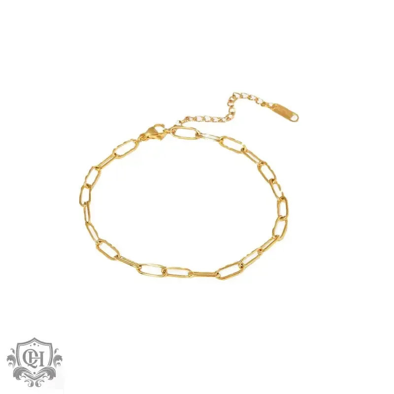 18K Gold Simple Style Paperclip Chain Anklet
