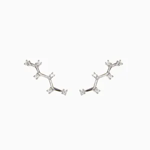 Climber Stylish Zirconia Silver Earring
