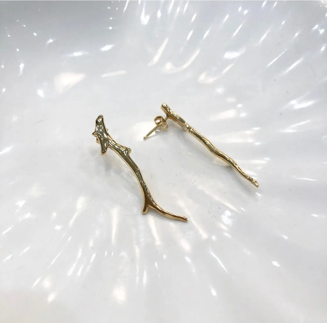 Coral branch 14k earrings