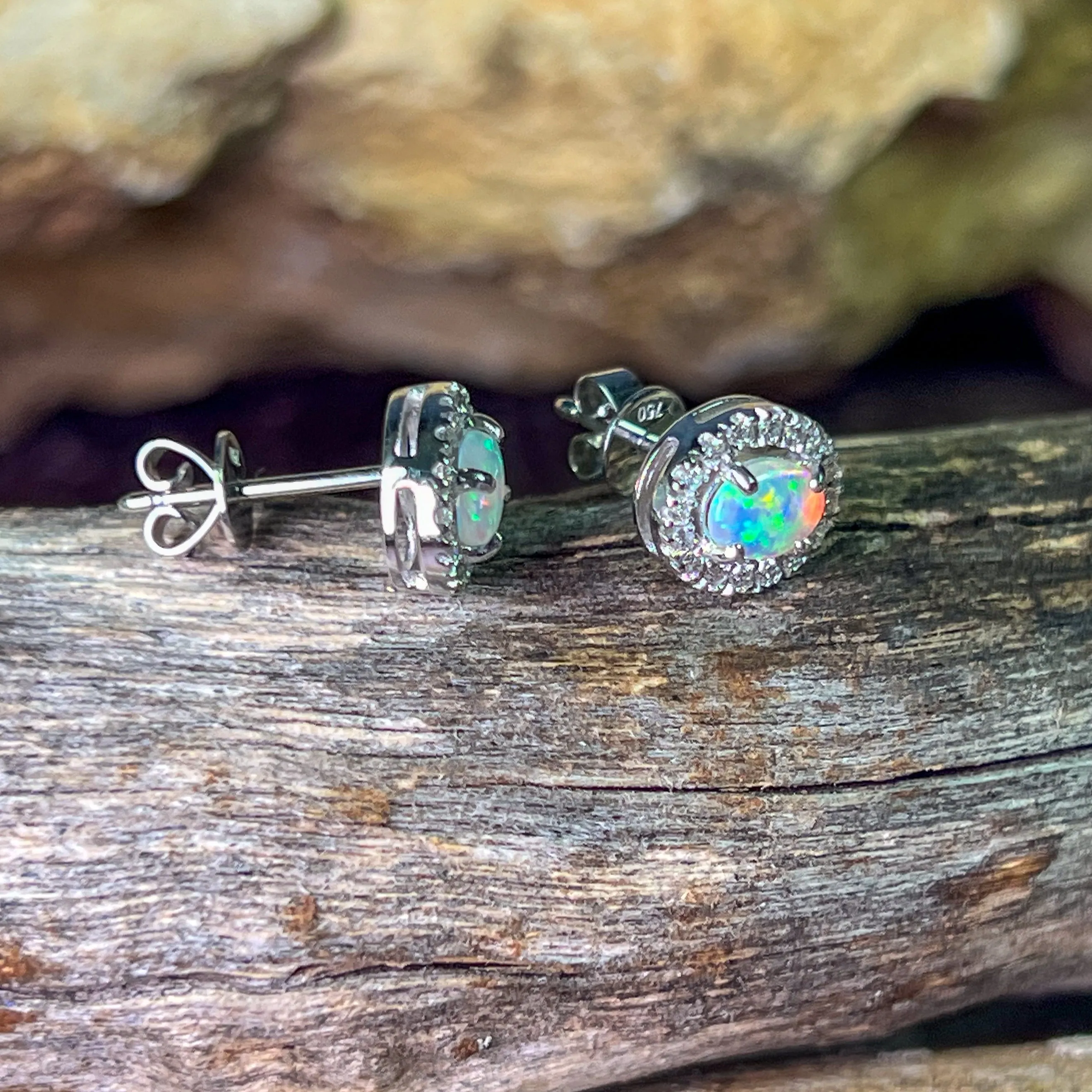 Pair of 18kt White Gold halo Opal and diamond studs